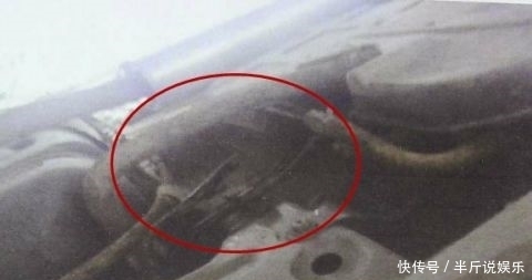 离婚|男子离婚净身出户,见到前妻现任后…崩溃了