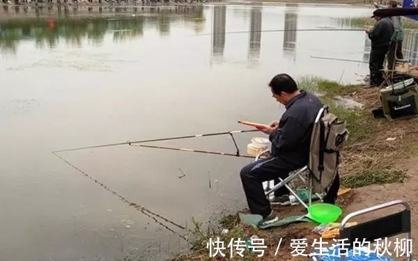 漂相|一到初冬,万万别直接下竿,这三点要格外注意,否则很难连续上鱼