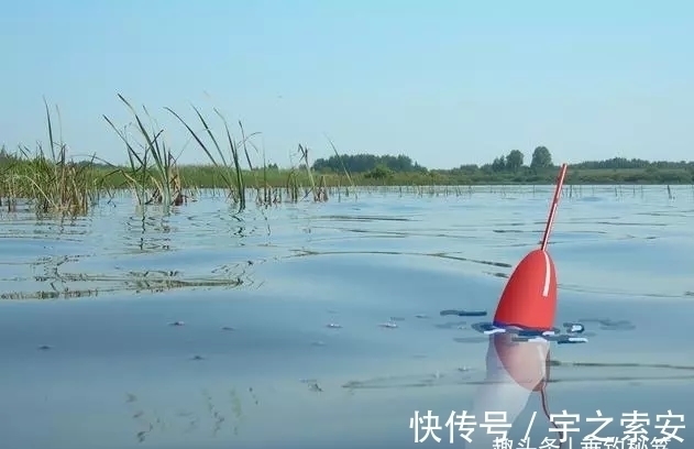 目数|钓了八年鱼,调了八年漂,今天才明白调几钓几其实并不重要