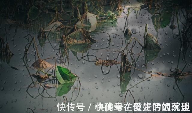 少年时代#蒋捷的这首听雨词，可谓是惊艳了时光，情景交融，无人能出其右！