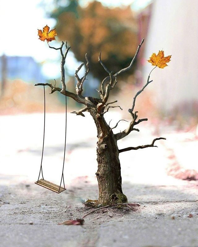 在你身边#越读越有味的人生格言,句句经典,引人深思