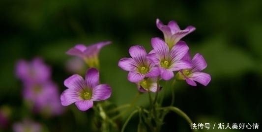 农历|生日在农历这几个月的人，富贵显达，早晚能够出人头地