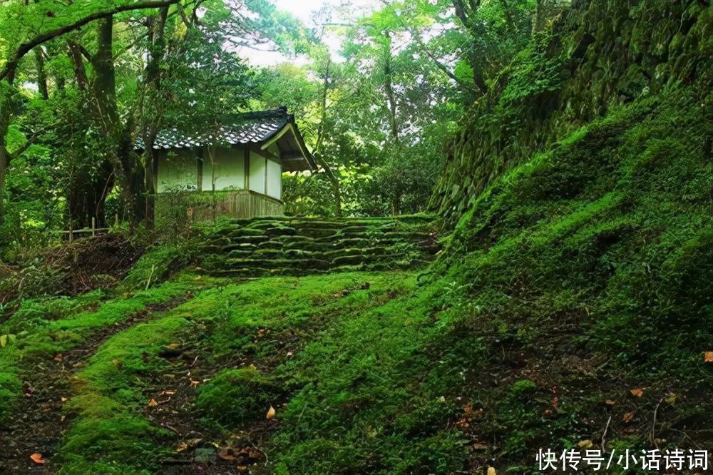 辋川&王维很美的一首诗，开篇就是千古名句，短短20字写出鹿柴的风光