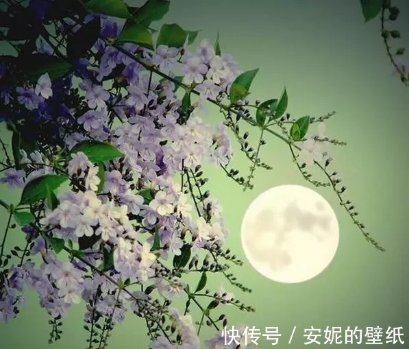 自京赴奉先縣詠懷五百字&古代詩歌鑒賞