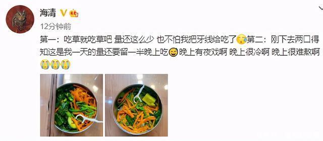 海清晒午餐,只有一小碗蔬菜还要分两顿吃,发文哭诉太难熬