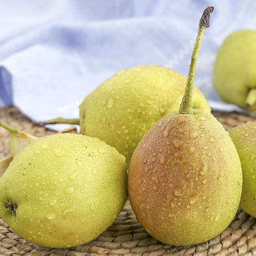 冰菜|人到中年,常吃四种食物,降压减脂,延年益寿,早吃早受益