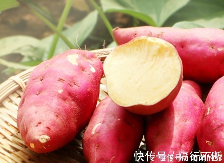 替代|有糖尿病的人，用杂豆替代主食有助于控制血糖，哪些豆属于杂豆？