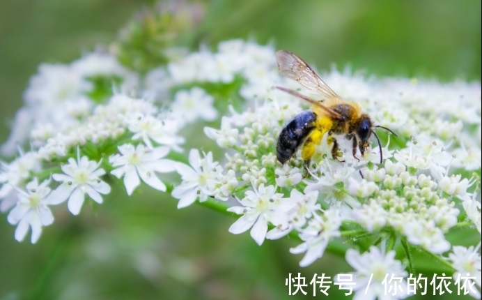 星座|12月，苦尽甘来，翻身转运，事业飞黄腾达，一旺到年底的3星座