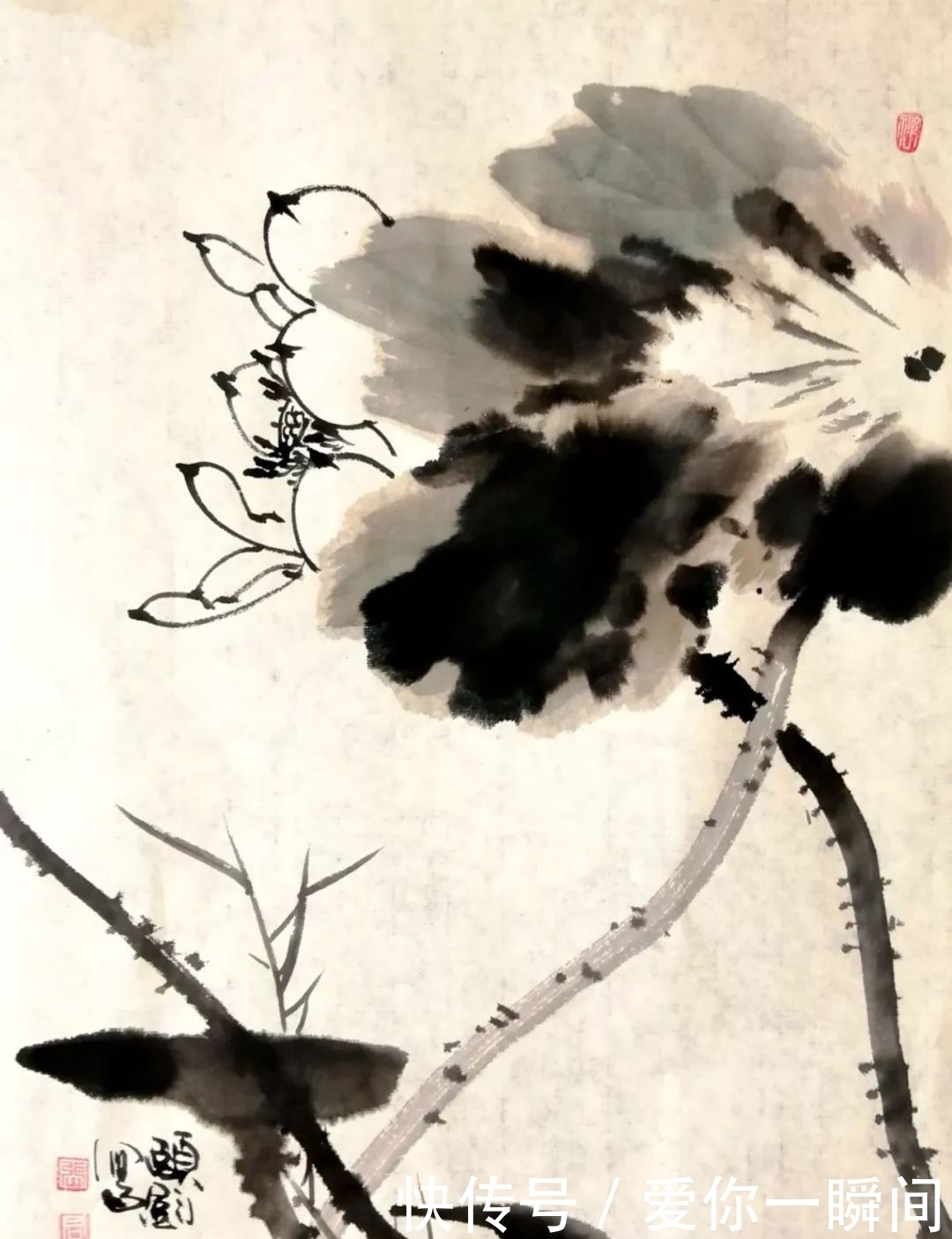 小品|张颐钧国画小品