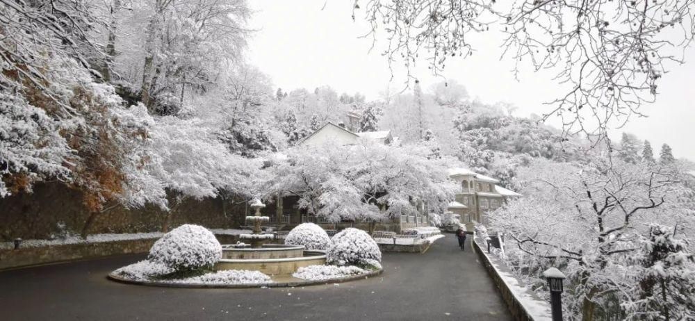 邂逅|来莫干山，邂逅一场冰雪奇缘吧！