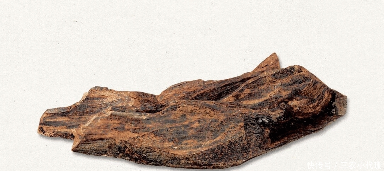 废柴|一种听说过得人多,以前被当废柴烧火的东西,现在价格早已突破天际