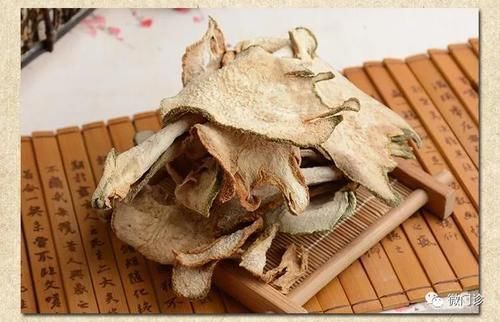 中药|一味“通人性”的中药!疏肝、养胃、化痰,普动众生,请体会