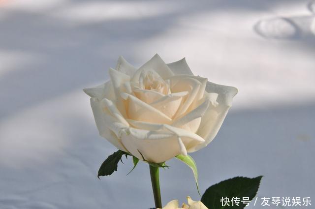 人生8不交,8不能,8不要,8不做,8不比,8不气,8不完