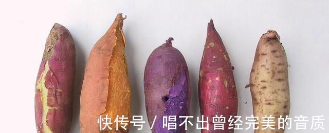 红薯|肠道“推粪机”已公布,并非香蕉,便秘者多吃,清理肠道、防便秘