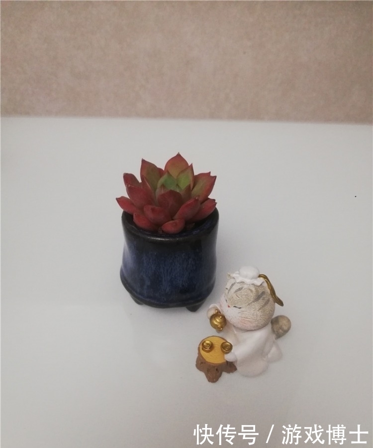 一肉一世界,一方一净土