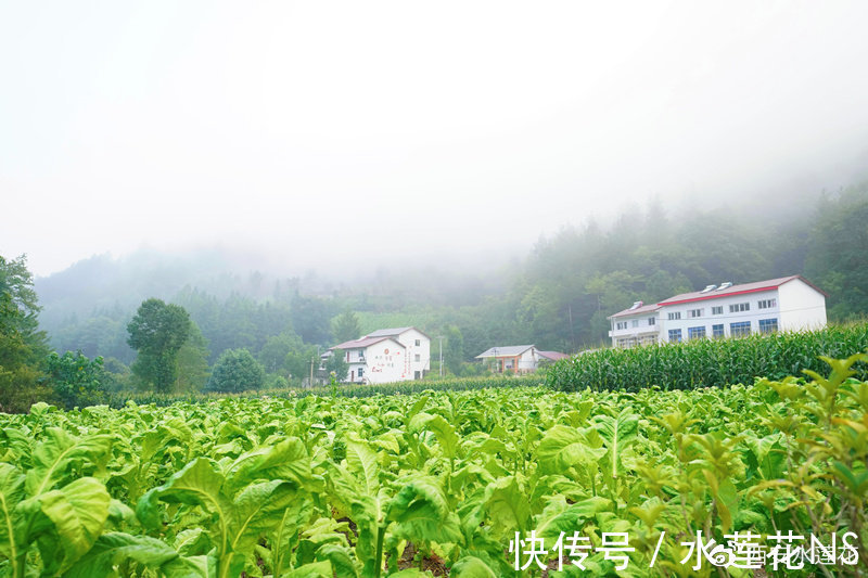 峰崖|峡谷幽长，峰崖险峻 竹溪县十八里长峡景色绮丽秀美 还有一个神秘的双胞胎村