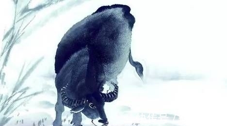 生肖牛|9月底,行大运,干大事,发大财,3生肖三分付出,七分回报