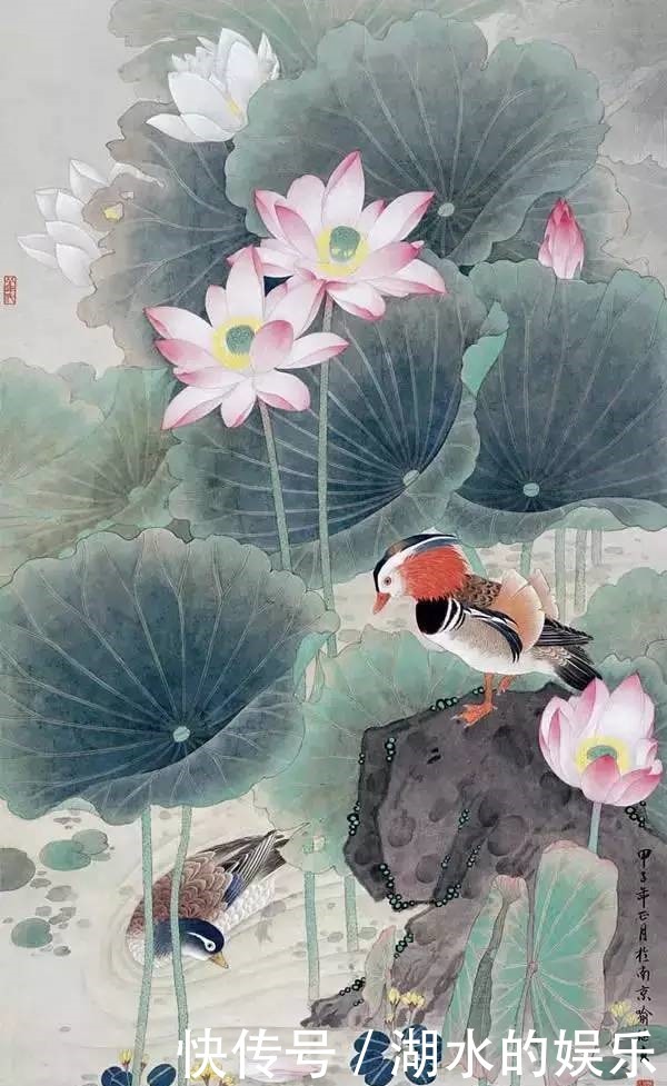 好漂亮的鸳鸯戏水图:祝愿天下有情人!