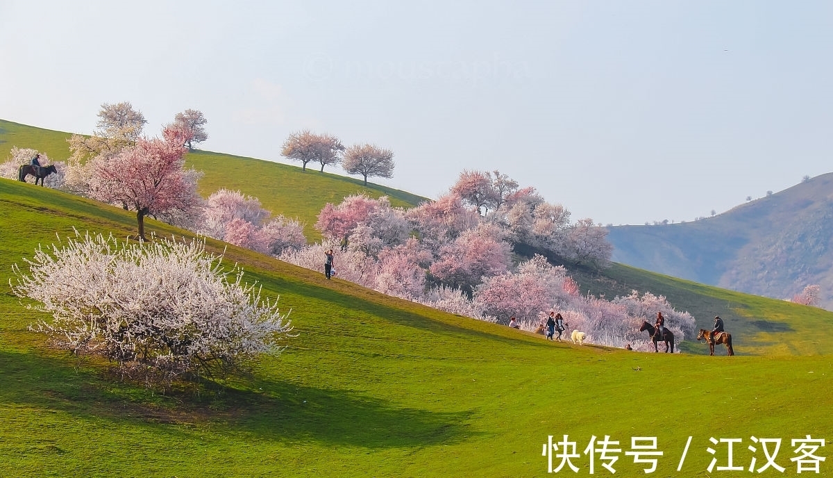 王维|九首情谊古诗词:青山空向一帆远,汀州落日五湖春