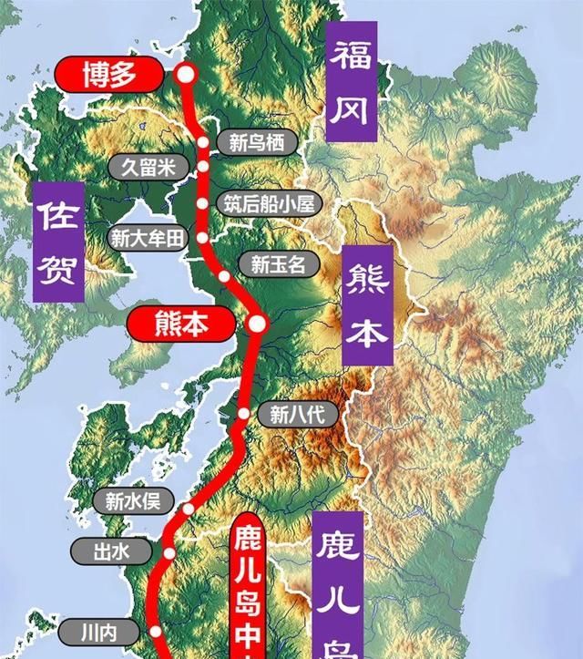日本吉祥物 熊本熊為何這麼火 中國熱點
