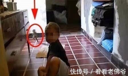 儿子|母亲在家给儿子拍照,看到儿子身后的画面,尖叫起来