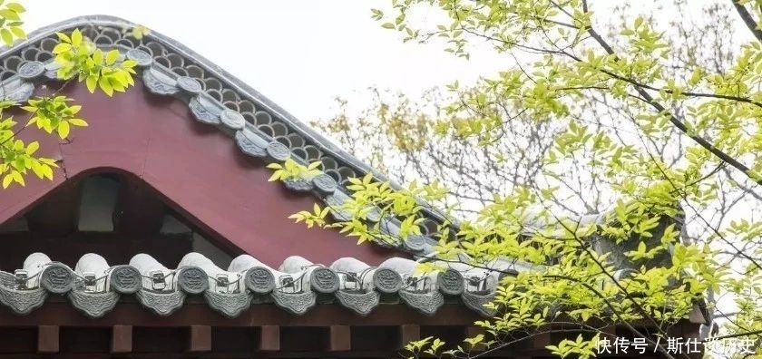 道德经|老子:成功和失败,只是差了一个“它”