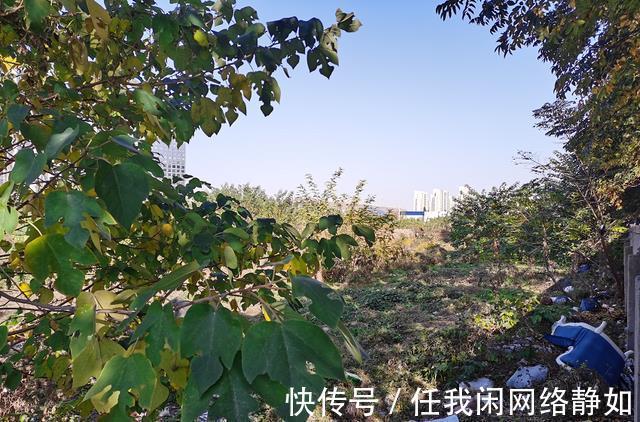 景枫|南京江宁核心区域!景枫拿地17年迟迟未动工官方回复来了!