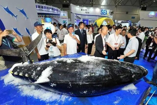 饭桌|四种鱼,趁早撤离饭桌,也许营养少且毒素多,鱼贩:知道越少越好