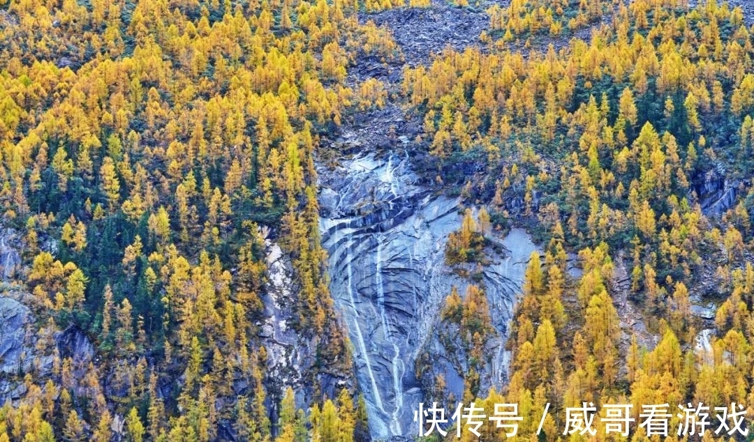 管制|今日，达古冰川下雪啦！雪+彩林=最美秋天！