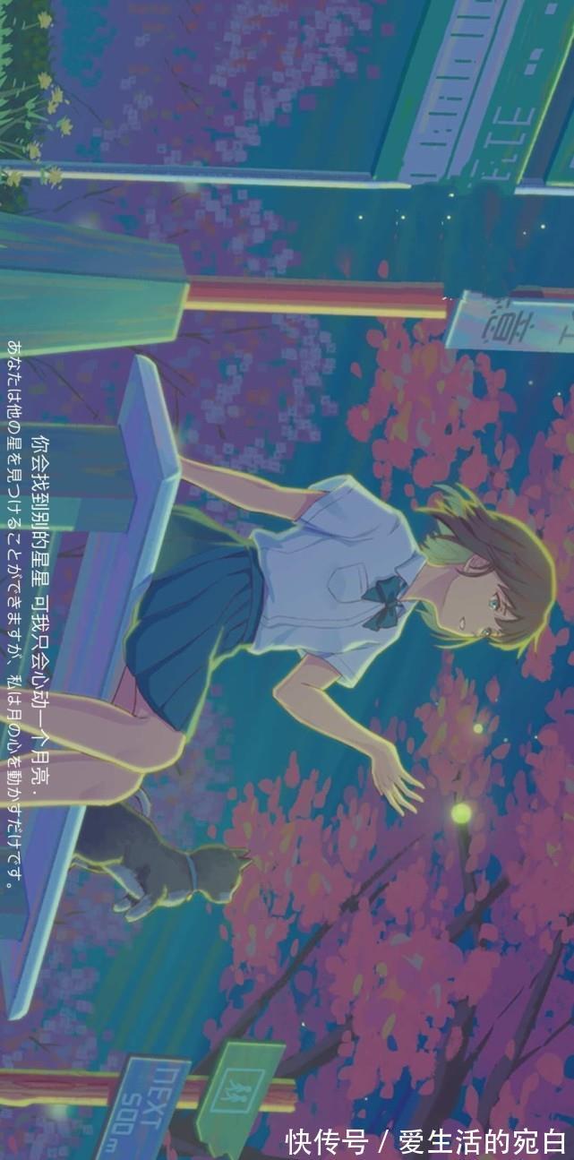 第九百七十四期精选优质壁纸