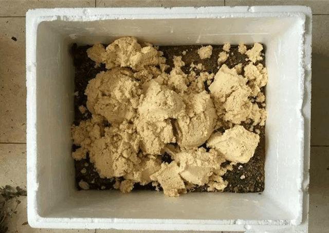 鸡蛋壳|4种“垃圾”家家都有,垫在花盆里,半年长出“白菜根”!