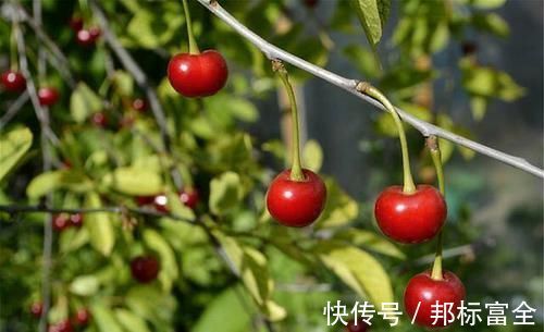 春笋春笋|春季养生,适合吃哪些食物?不妨试试这几种