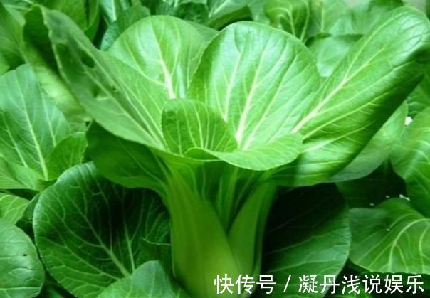 防治|油菜活血化瘀,解毒消肿,农民冬季种植油菜需一点,稳产又增收