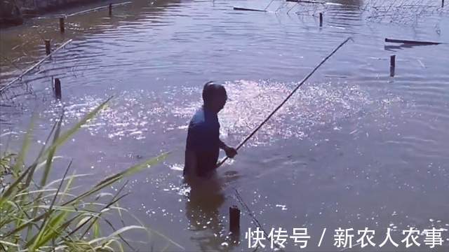 疯狂！男子钓鱼遇“空军”，直接扔掉鱼竿放大招，网友：长见识了