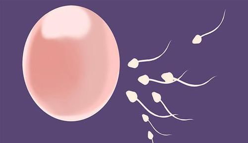 生育力|越来越多女性怀不了孩子，和什么有关？3个因素，男女都要反思下