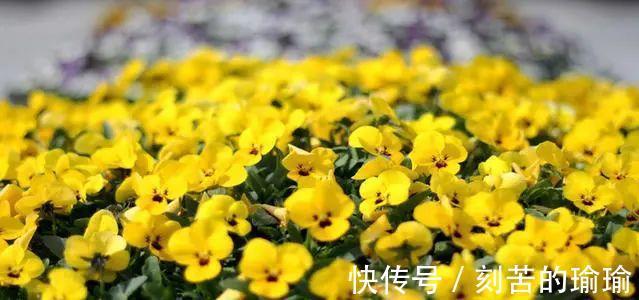 寇准$古人智慧15个机智又有趣对联故事！