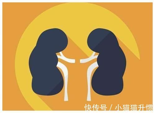 肾脏|男人洗澡时,若常洗这2个部位,可能肾脏越来越健康