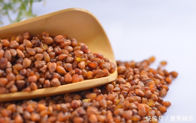 “黑苦荞”和“黄苦荞”有什么区别营养差别大,可别再乱买了