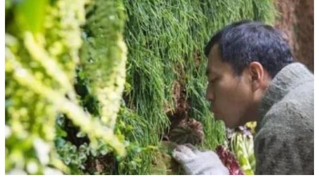 名牌大学|还记得“最强大脑”王昱珩吗？被警方邀请协助破案，后来怎样了？