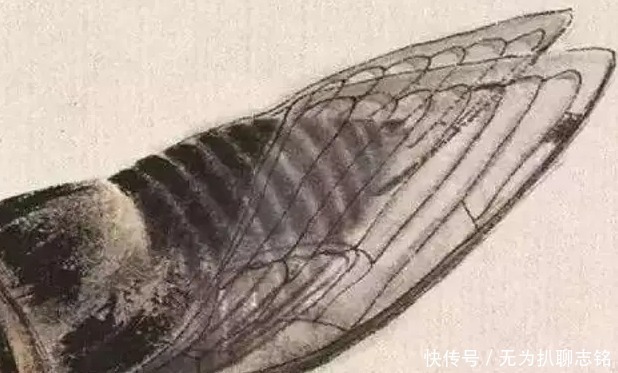 文艺工作者#为什么齐白石的“蝉”能卖8亿天价?专家:放大30倍后就懂了