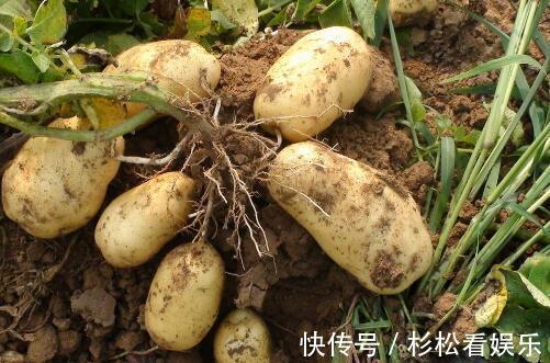 热量|4种会发胖的食物，你戒的掉吗减肥最要吃哪些食品