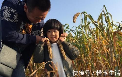 游泳|把自己落水的孩子救上岸边后，被其他家长质问：为什么不救我孩子