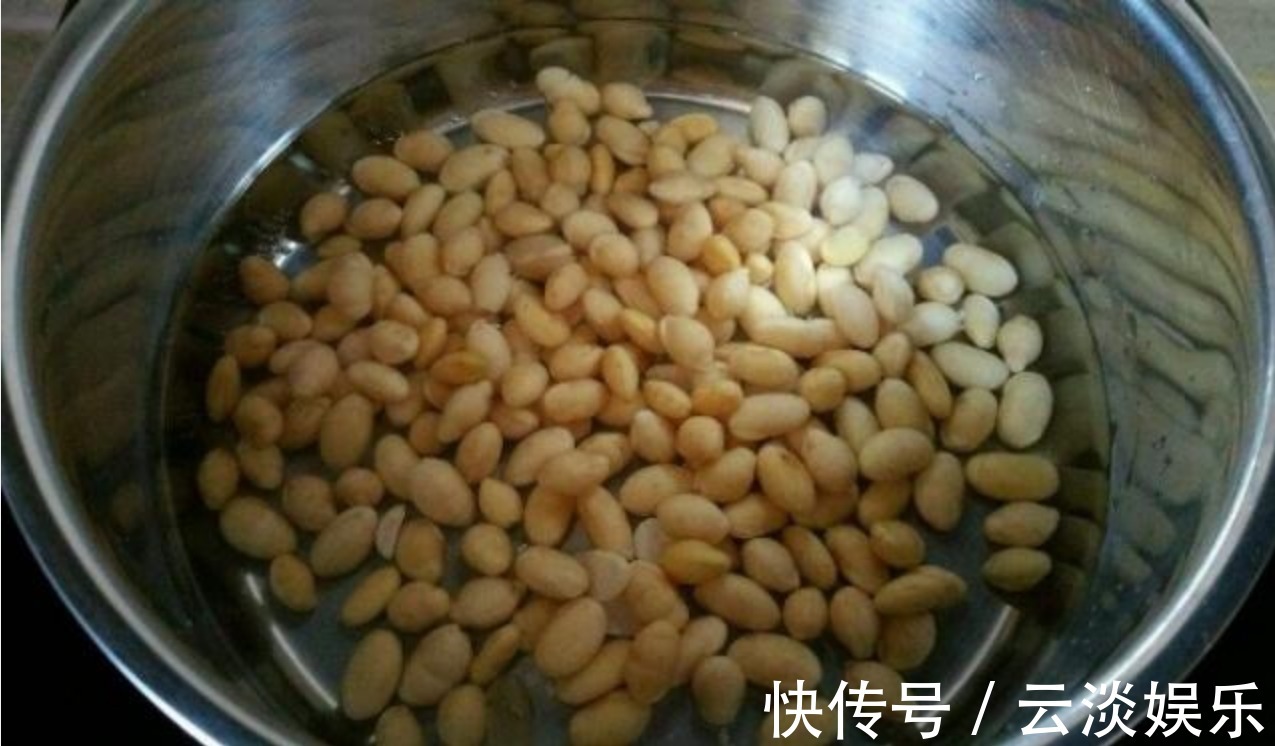 家中茶花生长慢,用上这“2物”,侧枝“直冒”,长成“大花灯”
