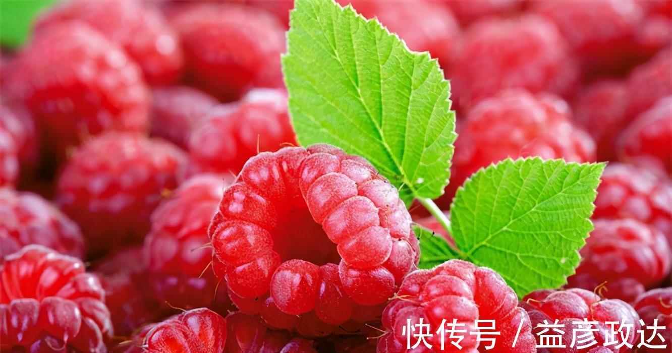 酸石榴|会吃的人最健康，3种食物经常吃，清热解毒、润滑肠道，早吃早好