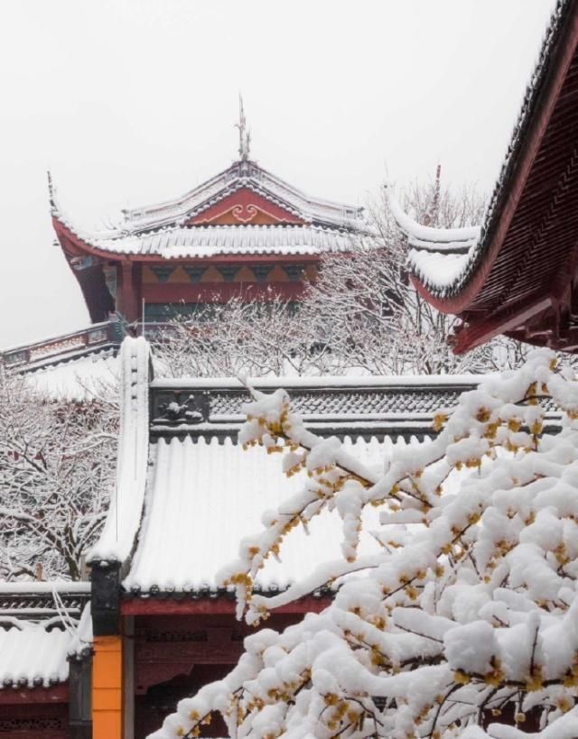 鬼谷子:人到中年一事无成,背熟两句话,让你否极泰来