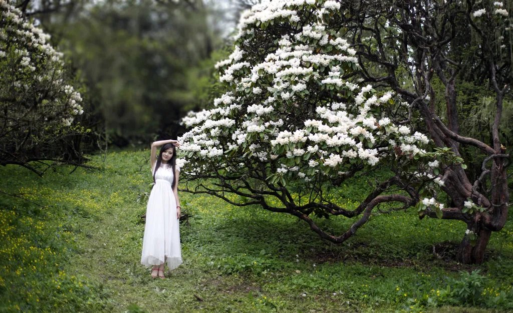 冯蕊|诗朗诵：雾里觉醒