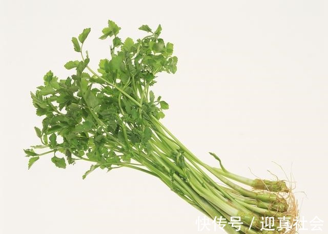 地中海地区|香菜是“抗菌之王”, 但不能和它一起吃, 很多人还傻傻在吃
