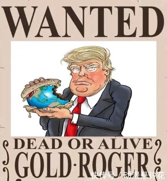 贝利|海贼王:本以为罗杰赏金最高,当他的赏金公布后,漫迷:太爆炸了