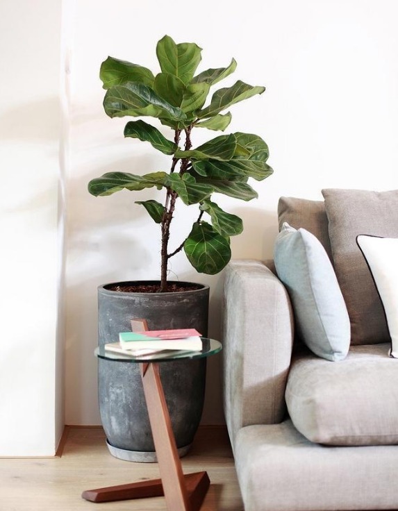 空间|越来越向往这样的简单装修,不夸张、有品位,全屋温馨耐看!