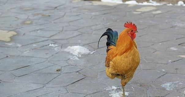 体内有没有血栓,晚上睡觉观察手脚就知道,3个动作就能畅通血管